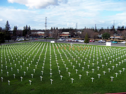 field of crosses